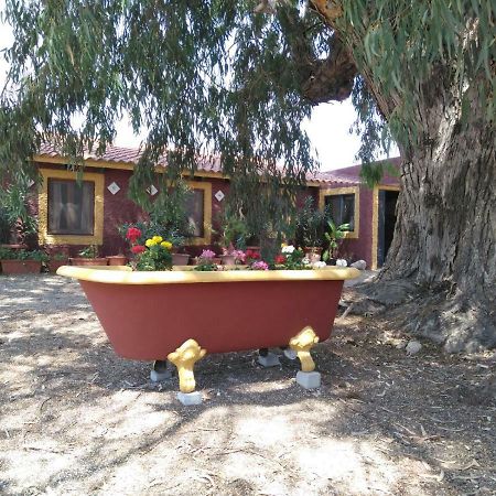 Casa Del Procurador Guest House Las Virtudes Exterior photo