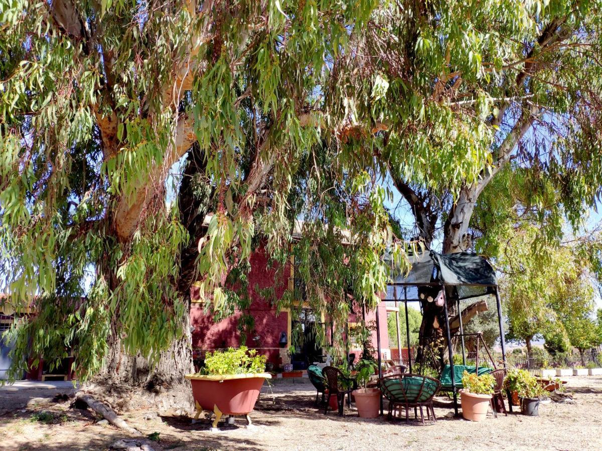 Casa Del Procurador Guest House Las Virtudes Exterior photo